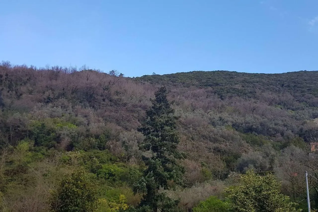 Il Villino Apartment San Colombano Certenoli Italy